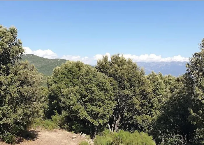 Sottu E Stelle