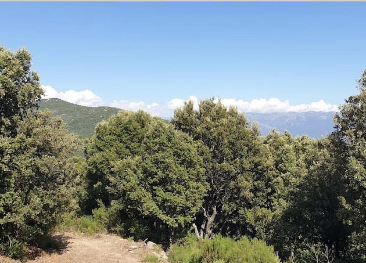 Glamping Sottu E Stelle